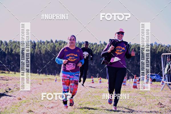 Buy your photos of the eventWolf Series - Botucatu on Fotop