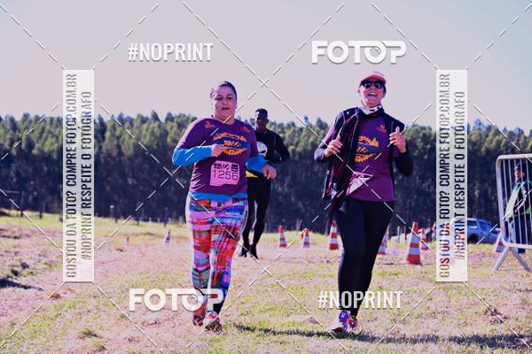 Buy your photos of the eventWolf Series - Botucatu on Fotop