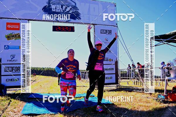 Buy your photos of the eventWolf Series - Botucatu on Fotop