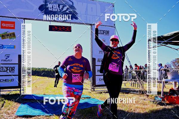 Buy your photos of the eventWolf Series - Botucatu on Fotop