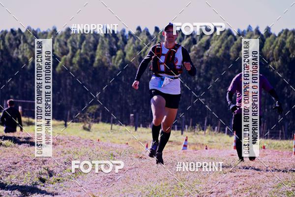 Buy your photos of the eventWolf Series - Botucatu on Fotop