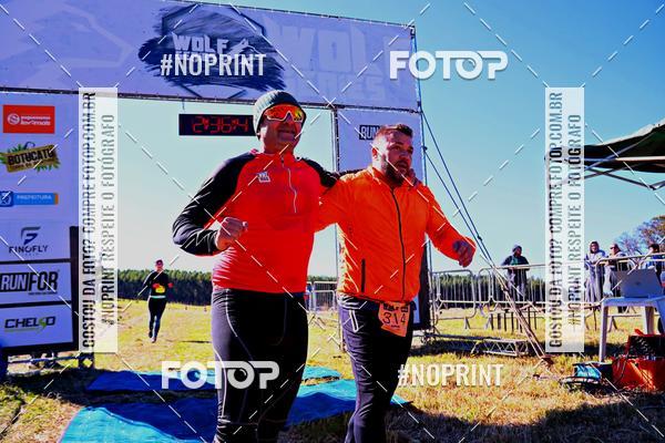 Buy your photos of the eventWolf Series - Botucatu on Fotop