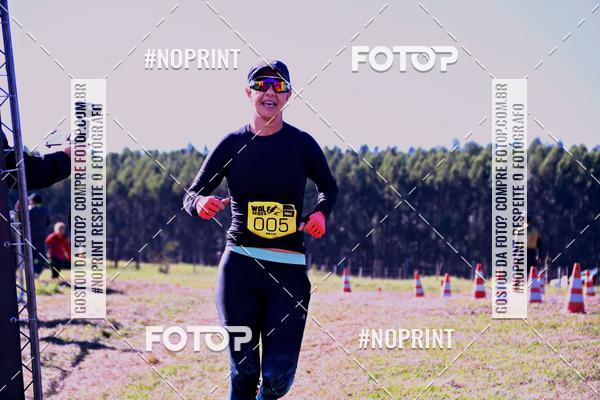 Buy your photos of the eventWolf Series - Botucatu on Fotop