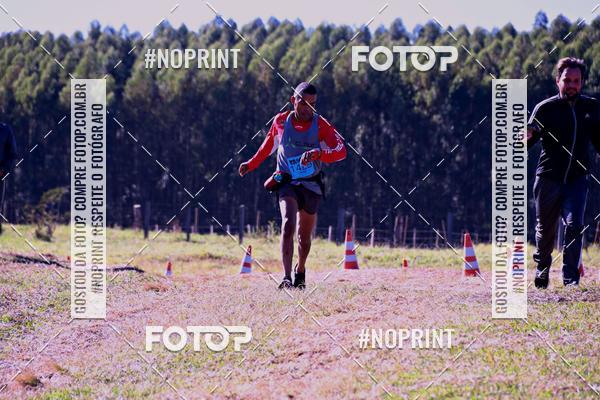 Buy your photos of the eventWolf Series - Botucatu on Fotop