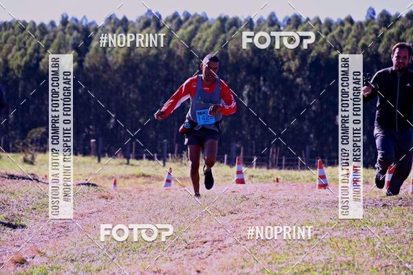 Buy your photos of the eventWolf Series - Botucatu on Fotop