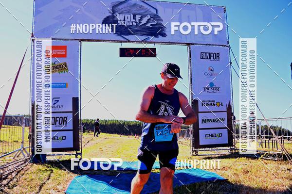 Buy your photos of the eventWolf Series - Botucatu on Fotop