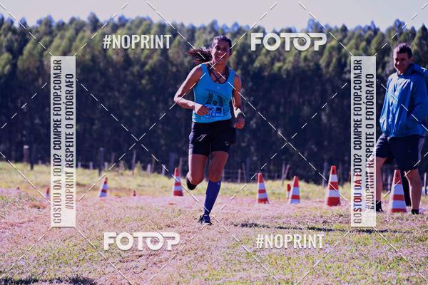 Buy your photos of the eventWolf Series - Botucatu on Fotop