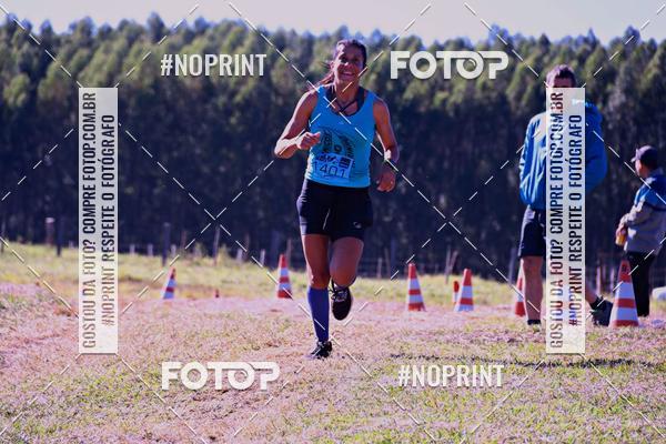 Buy your photos of the eventWolf Series - Botucatu on Fotop