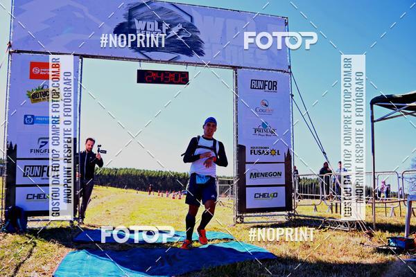 Buy your photos of the eventWolf Series - Botucatu on Fotop