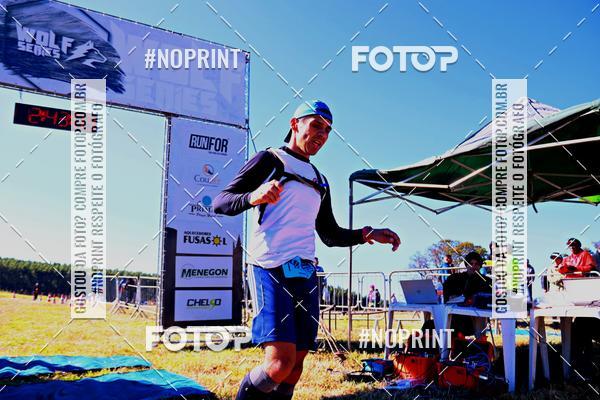 Buy your photos of the eventWolf Series - Botucatu on Fotop