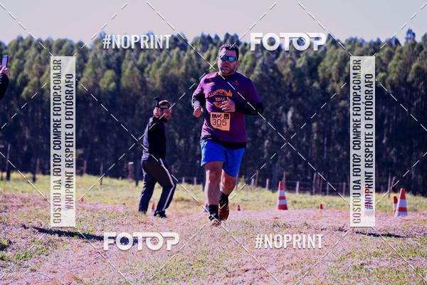 Buy your photos of the eventWolf Series - Botucatu on Fotop