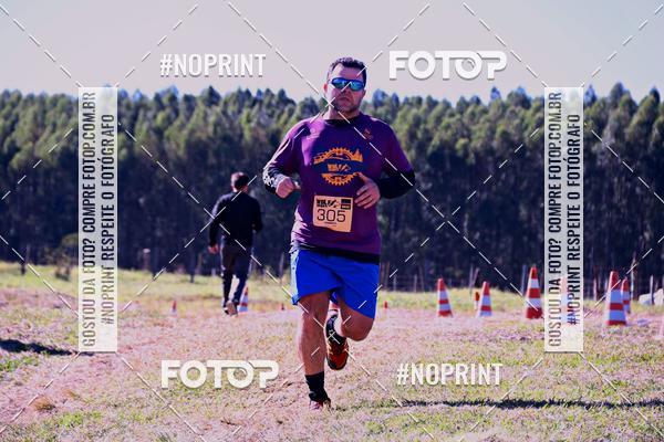 Buy your photos of the eventWolf Series - Botucatu on Fotop