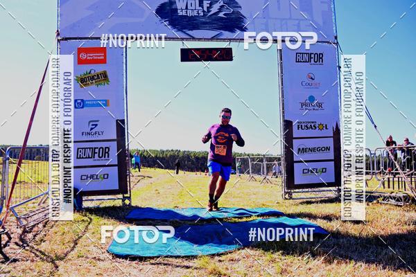 Buy your photos of the eventWolf Series - Botucatu on Fotop