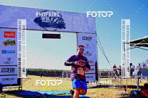 Buy your photos of the eventWolf Series - Botucatu on Fotop