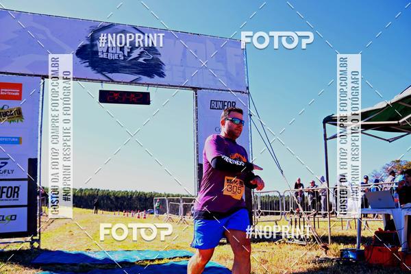 Buy your photos of the eventWolf Series - Botucatu on Fotop