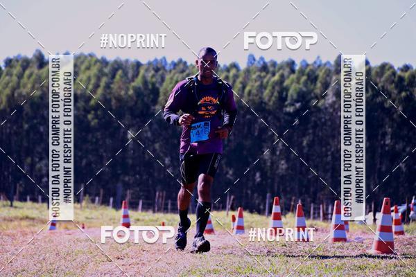 Buy your photos of the eventWolf Series - Botucatu on Fotop