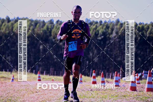 Buy your photos of the eventWolf Series - Botucatu on Fotop