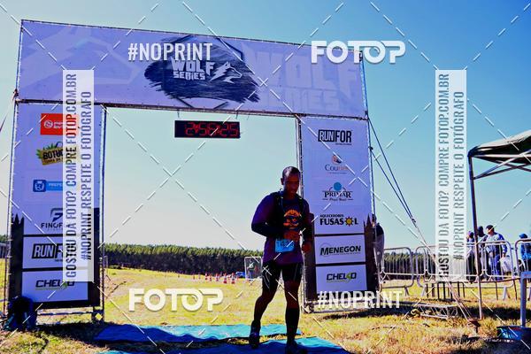 Buy your photos of the eventWolf Series - Botucatu on Fotop