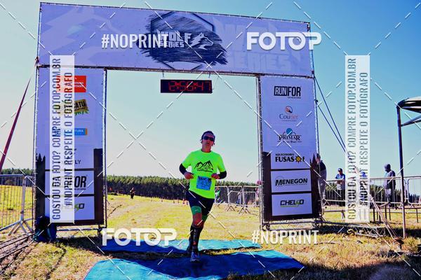 Buy your photos of the eventWolf Series - Botucatu on Fotop