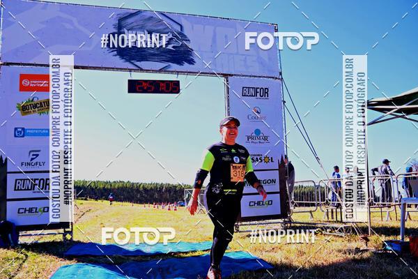 Buy your photos of the eventWolf Series - Botucatu on Fotop