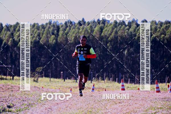 Buy your photos of the eventWolf Series - Botucatu on Fotop