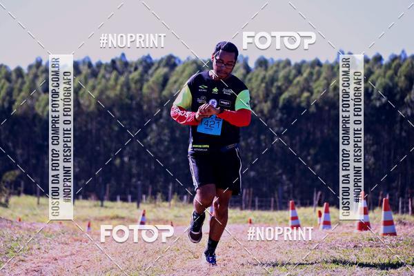 Buy your photos of the eventWolf Series - Botucatu on Fotop