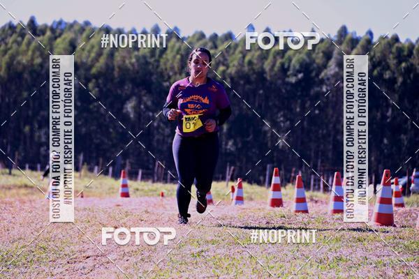 Buy your photos of the eventWolf Series - Botucatu on Fotop