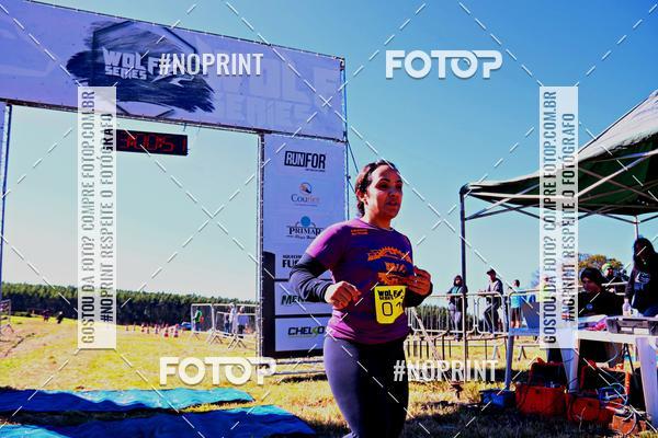 Buy your photos of the eventWolf Series - Botucatu on Fotop