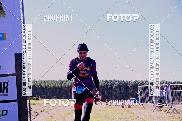 Buy your photos of the eventWolf Series - Botucatu on Fotop