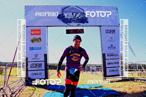 Buy your photos of the eventWolf Series - Botucatu on Fotop