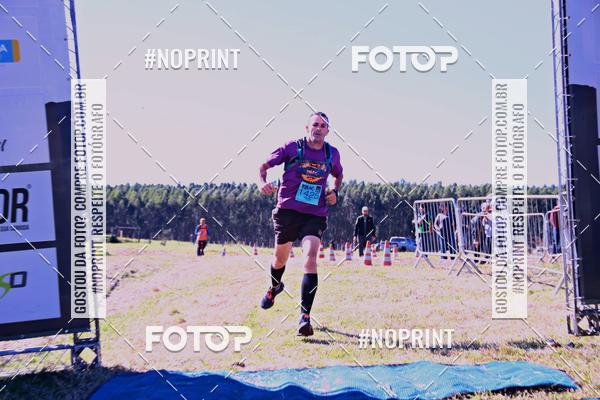 Buy your photos of the eventWolf Series - Botucatu on Fotop