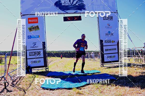 Buy your photos of the eventWolf Series - Botucatu on Fotop