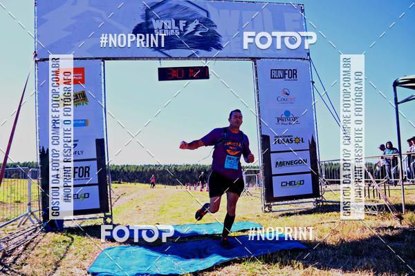 Buy your photos of the eventWolf Series - Botucatu on Fotop