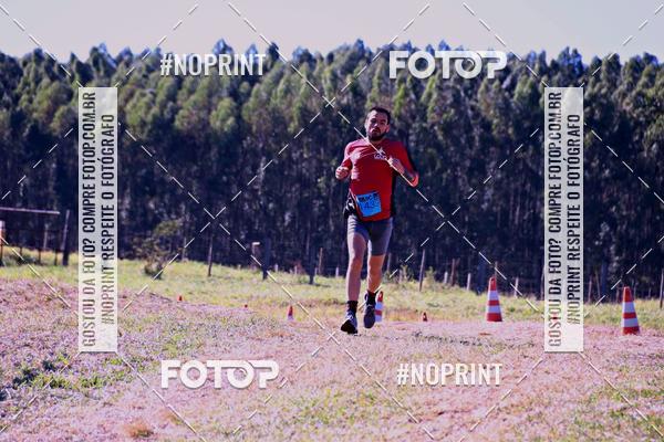 Buy your photos of the eventWolf Series - Botucatu on Fotop