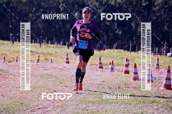 Buy your photos of the eventWolf Series - Botucatu on Fotop