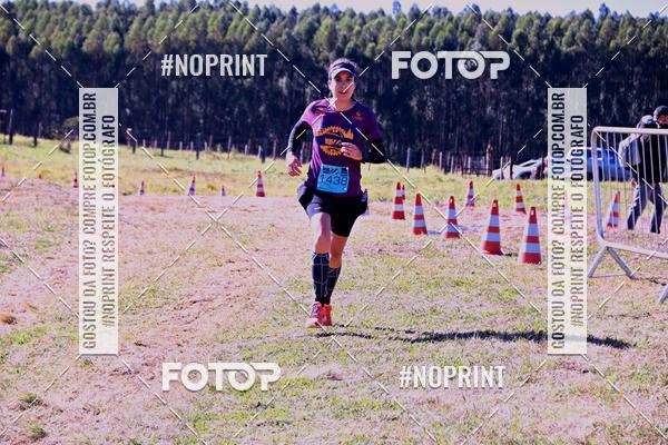 Buy your photos of the eventWolf Series - Botucatu on Fotop