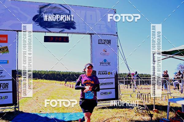 Buy your photos of the eventWolf Series - Botucatu on Fotop