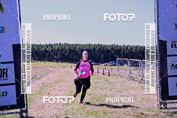 Buy your photos of the eventWolf Series - Botucatu on Fotop