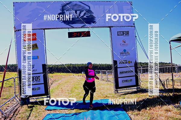 Buy your photos of the eventWolf Series - Botucatu on Fotop