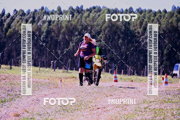 Buy your photos of the eventWolf Series - Botucatu on Fotop