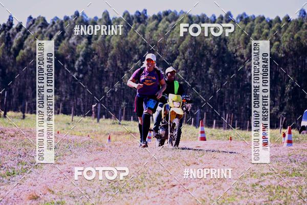 Buy your photos of the eventWolf Series - Botucatu on Fotop