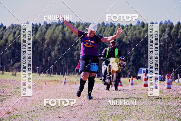 Buy your photos of the eventWolf Series - Botucatu on Fotop