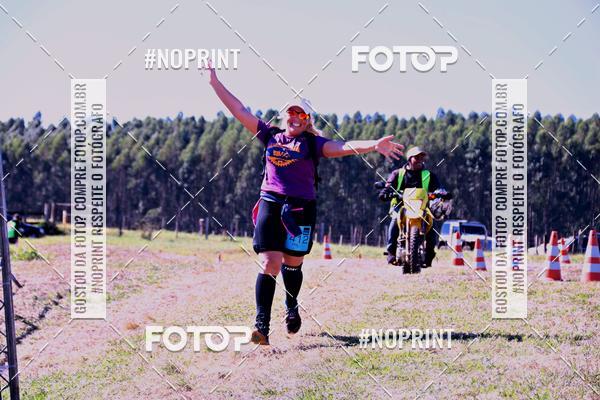 Buy your photos of the eventWolf Series - Botucatu on Fotop