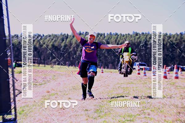 Buy your photos of the eventWolf Series - Botucatu on Fotop