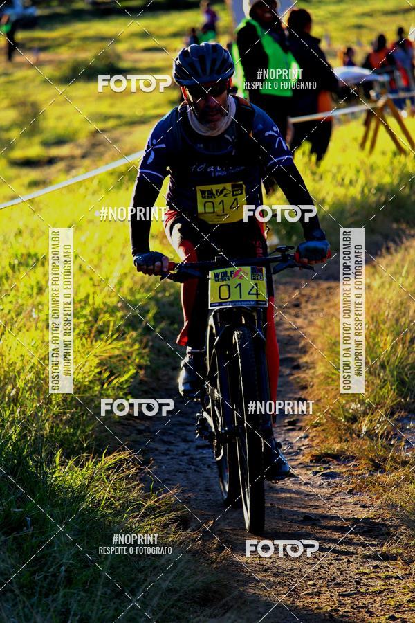 Buy your photos of the eventWolf Series - Botucatu on Fotop