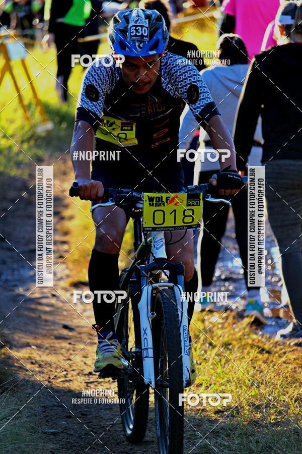 Buy your photos of the eventWolf Series - Botucatu on Fotop