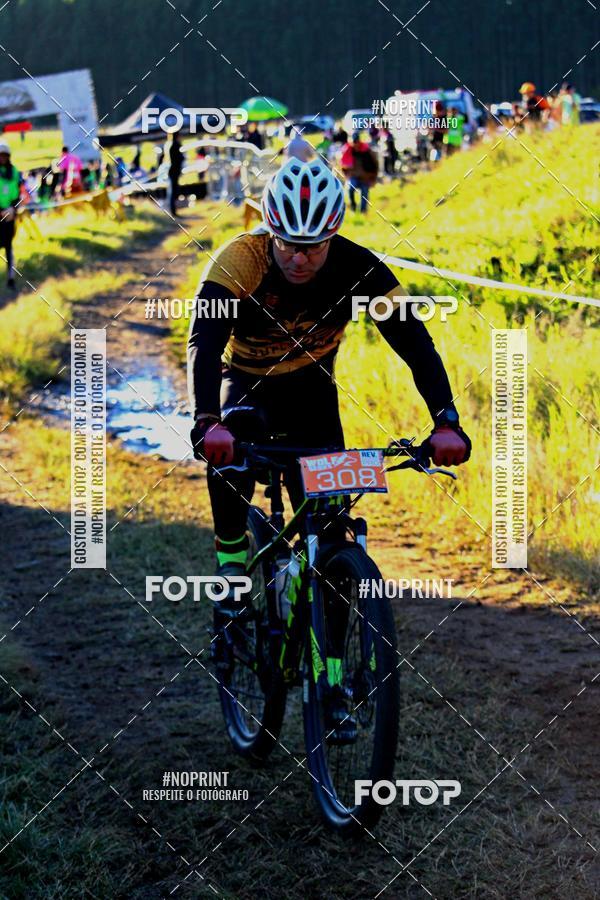 Buy your photos of the eventWolf Series - Botucatu on Fotop