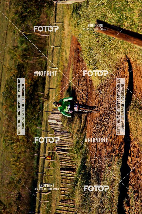 Buy your photos of the eventWolf Series - Botucatu on Fotop