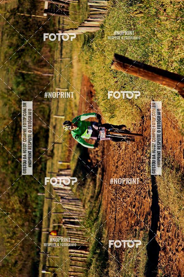 Buy your photos of the eventWolf Series - Botucatu on Fotop