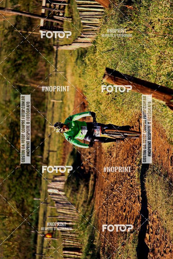 Buy your photos of the eventWolf Series - Botucatu on Fotop